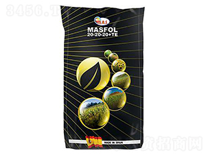 ������20-20-20+TE-���ͷ�