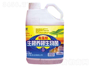 �����������B�������-���ͷ�