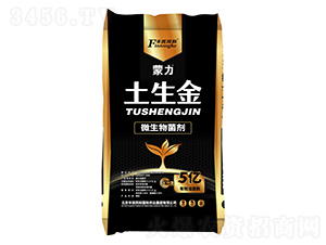 ����������΢�������-�͝��r�I