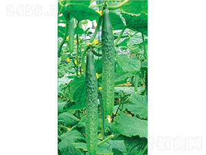 �ɶ����O��-�S�ϷN��-�͝��r�I