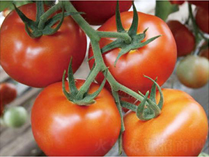 �hķ�t�\1̖-���ѷN��-�͝��r�I