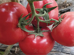 �hķ1300-���ѷN��-�͝��r�I