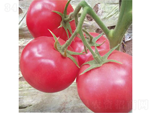 �hķ1350-���ѷN��-�͝��r�I