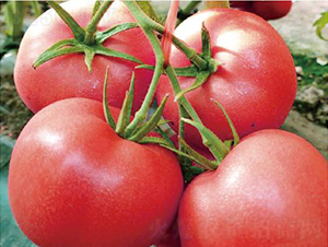 �hķ1319-���ѷN��-�͝��r�I