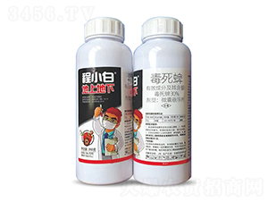 30%������΢�ґҸ���-��С�ס����ϵ���-���r�r�I