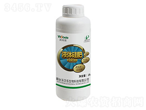 Һ�w���-��ؐ��