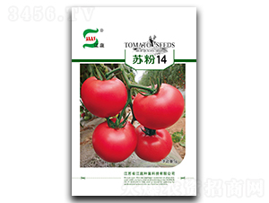 �K��14-���ѷN��-���A�N�I