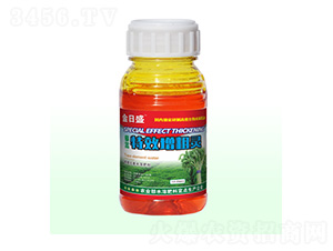 ޼�������`-����ʢ-��Դ��ʘI