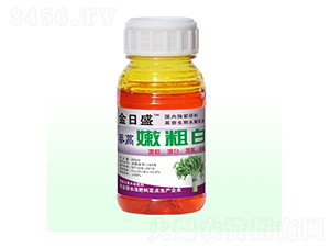 ޼���۴ְ�-����ʢ-��Դ��ʘI