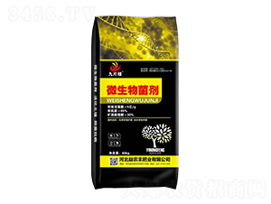 ΢�������-��Ƭ�G-���r�S�ʘI