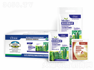 ���L�����`-嫰�����