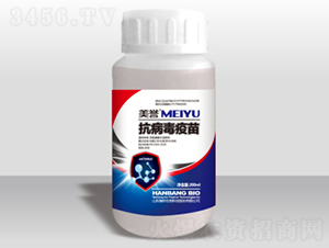 ����������-嫰�����