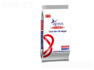 �~������ø����Ԫ��ˮ�ܷ�12-6-38+TE+MgO-�f���~-�R�S�r�I