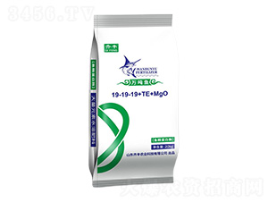 �~������ø����Ԫ��ˮ�ܷ�19-19-19+TE+MgO-�f���~-�R�S�r�I