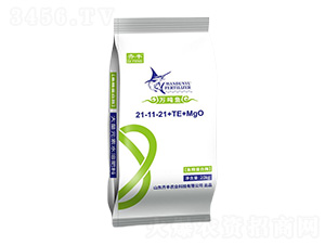 �~������ø����Ԫ��ˮ�ܷ�21-11-21+TE+MgO-�f���~-�R�S�r�I