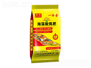 �����ᵪ��-һ����-�R�S�r�I