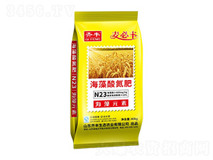 �����ᵪ��-�����S-�R�S�r�I