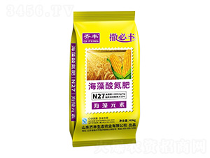 �����ᵪ��-�����S-�R�S�r�I