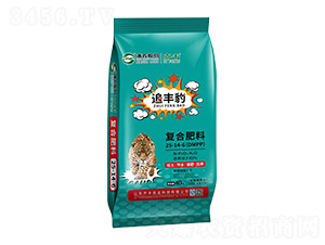 �������ڏͺϷ���25-14-6-׷�S��-�R�S�r�I