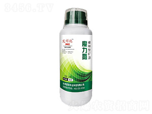 ����͵VԴħ����-�l���-���r�I