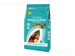 �����}΢�������-��������ޏ�