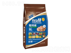 ��͹��-��������ޏ�