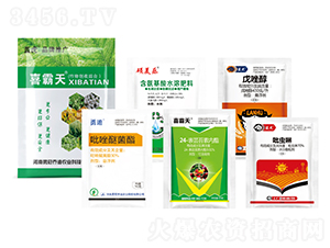 ϲ��������սM��-�{��-�¹چ̵�