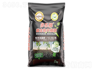 ΢�����_(k��i)����-����(l��)��