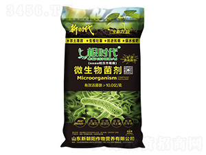 ���r(sh��)��΢�������-�r(sh��)��-�³��(y��ng)