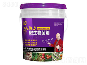 ΢�������-����(d��ng)��-������