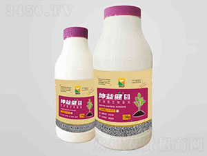 60�r(n��ng)��΢�������-���潡-��������