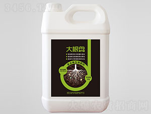 ����P�ͺ�΢�������-��������