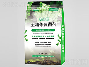 �漚΢�����ޏ;���-��������