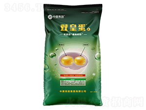 �p�ʵ�-���r����