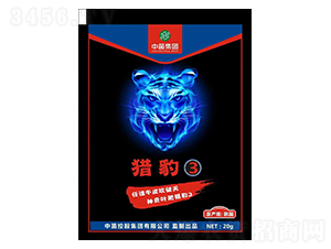 �C���~���-���r����