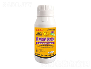 �M��ֲ�������Ƅ�-�����r��