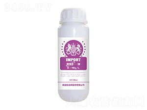 �~�����-���°�