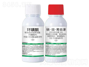 8%�h��ͪ+36%��������ݬȥ��-��e��-�Z�����r�I