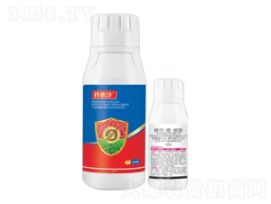 8%���x��+6%���ס������׾�-��z��-�Z�����r�I