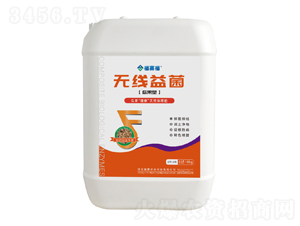 �Ϲ��͟o�����-��ِ��