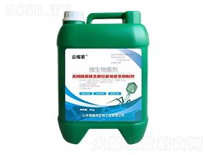 �r���ɾ��w�����������������Ƅ�-���ɼ�-����