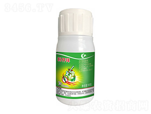 40%�������-�xǪ��-����¡����