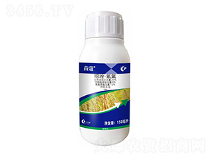 20%������f��-��ޢ-����¡����