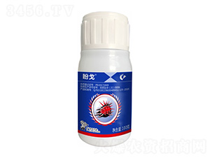 25%����������-�θ�-����¡����