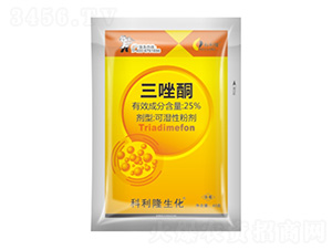 25%����ͪ-����¡����