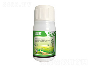 430��/������-�ι�-����¡����