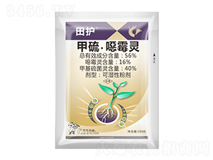 56%���򡤇fù�`-���o-����¡����