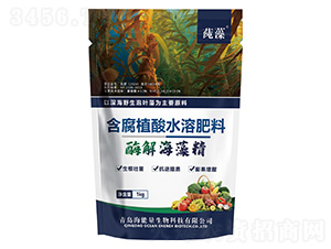 ø�⺣�徫-����-������