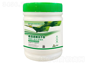 ������ǃ��ɷ�-������