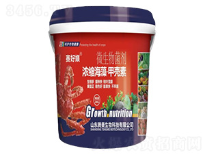 ΢�������-��s���塤�ך���-�v������